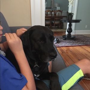 Meet your Posher, Tom